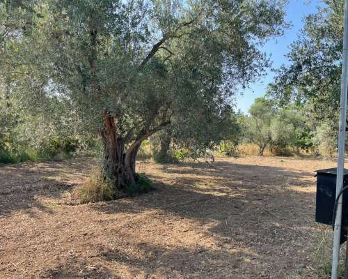 φωτογραφία ακινήτου