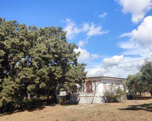 φωτογραφία ακινήτου
