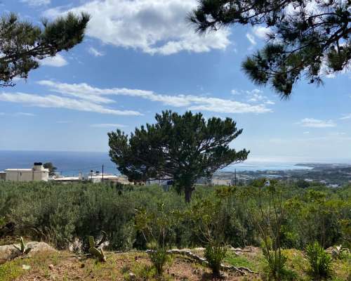 φωτογραφία ακινήτου