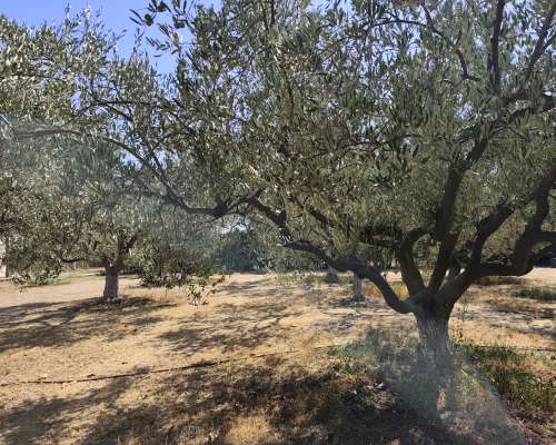 φωτογραφία ακινήτου
