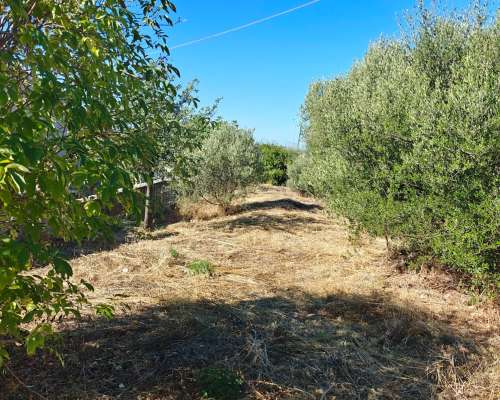 εικόνα ακινήτου