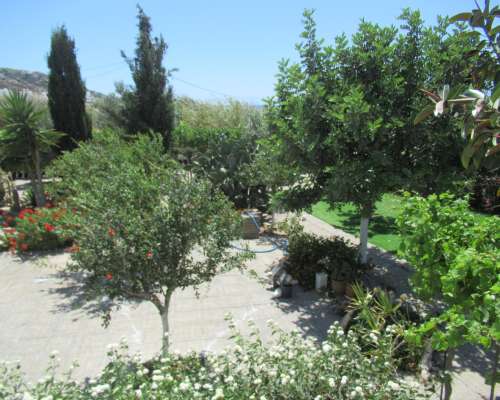 φωτογραφία ακινήτου