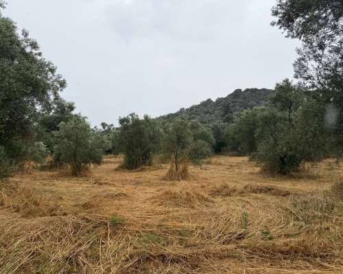φωτογραφία ακινήτου