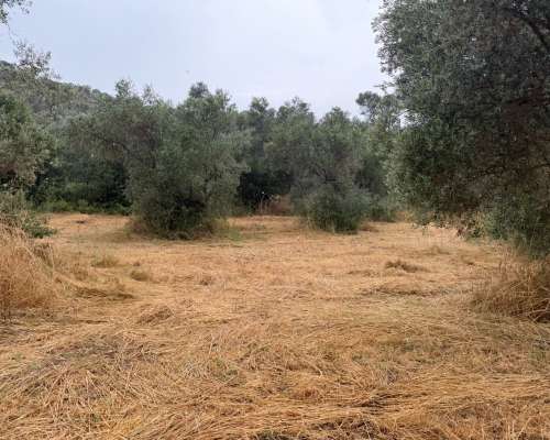 φωτογραφία ακινήτου