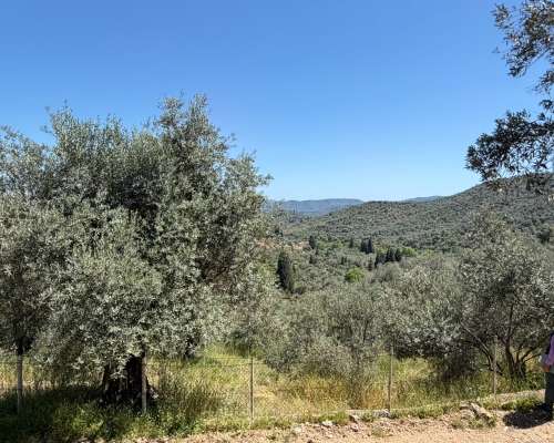 φωτογραφία ακινήτου