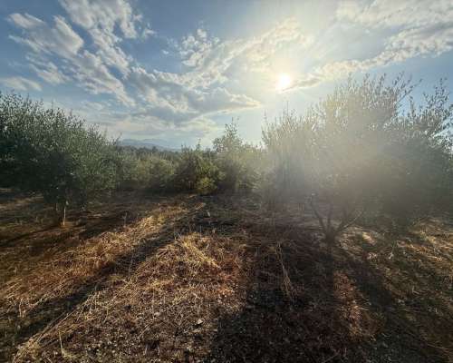 φωτογραφία ακινήτου