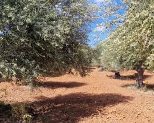 φωτογραφία ακινήτου