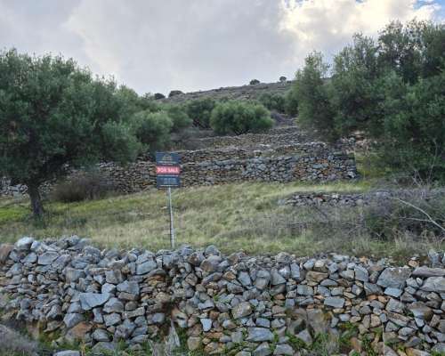 φωτογραφία ακινήτου