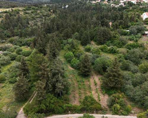 φωτογραφία ακινήτου