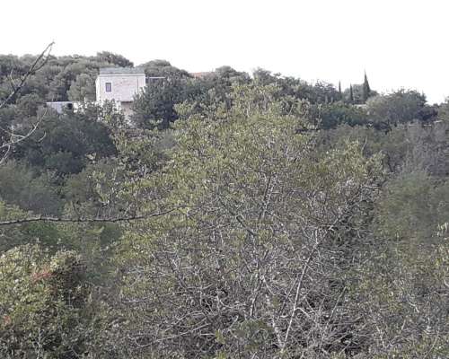 φωτογραφία ακινήτου
