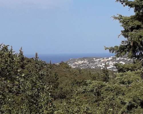 φωτογραφία ακινήτου