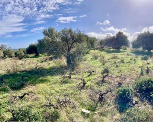 εικόνα ακινήτου