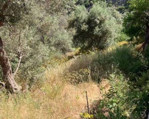 εικόνα ακινήτου