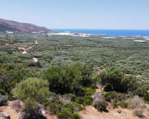 φωτογραφία ακινήτου