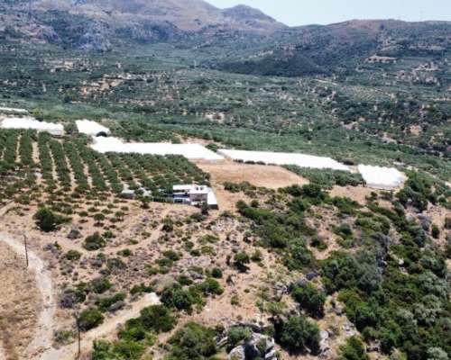 φωτογραφία ακινήτου