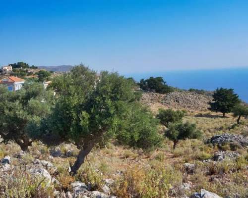 φωτογραφία ακινήτου