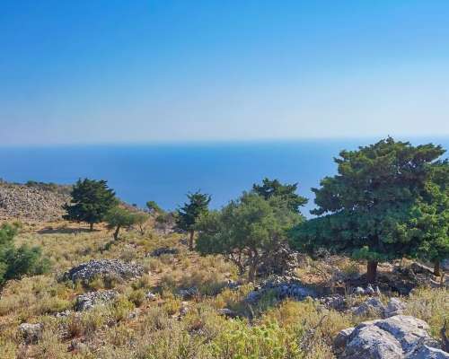 φωτογραφία ακινήτου