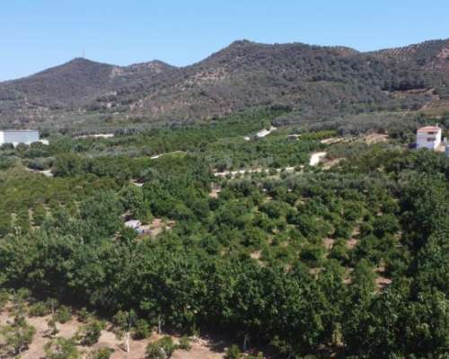 φωτογραφία ακινήτου