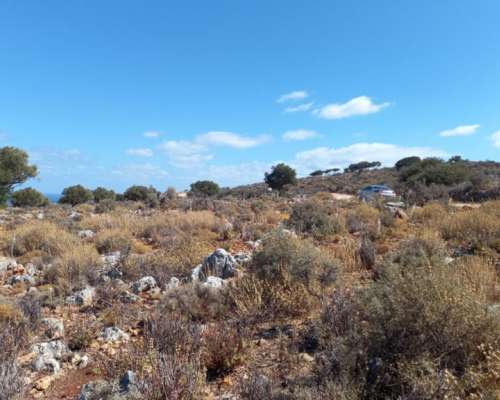 εικόνα ακινήτου