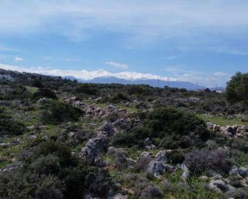 φωτογραφία ακινήτου