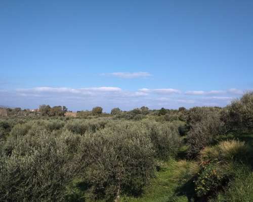 φωτογραφία ακινήτου