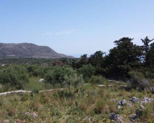 φωτογραφία ακινήτου