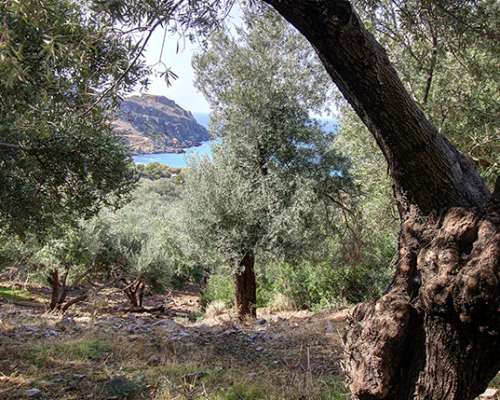 φωτογραφία ακινήτου