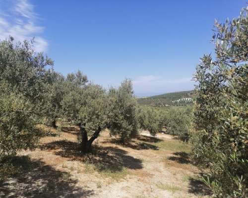 φωτογραφία ακινήτου