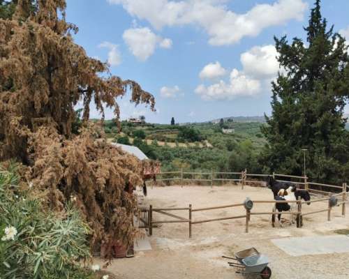 φωτογραφία ακινήτου