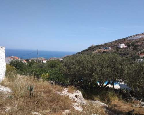 εικόνα ακινήτου