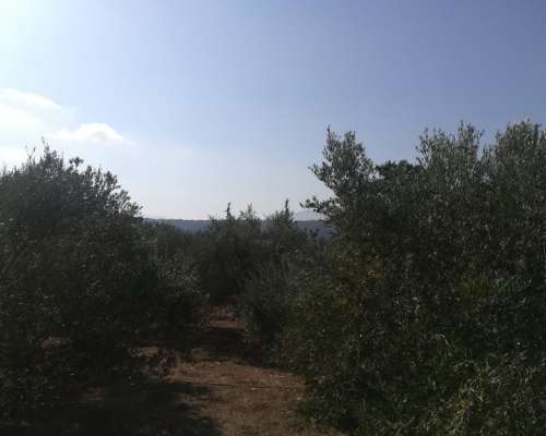 φωτογραφία ακινήτου