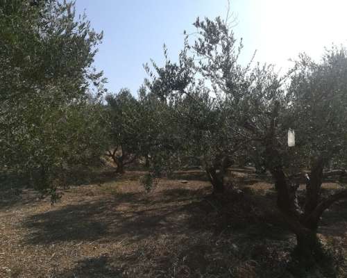 φωτογραφία ακινήτου