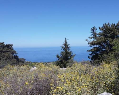 φωτογραφία ακινήτου