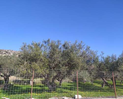 φωτογραφία ακινήτου
