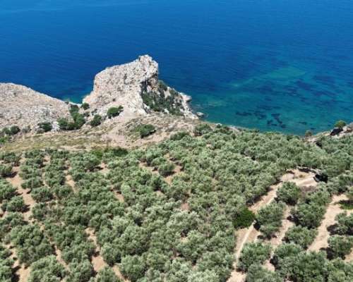 εικόνα ακινήτου