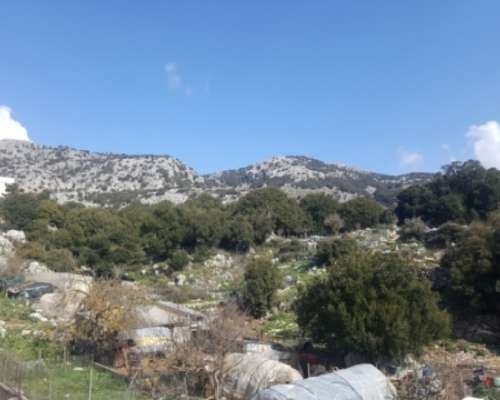 φωτογραφία ακινήτου