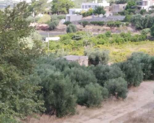 εικόνα ακινήτου