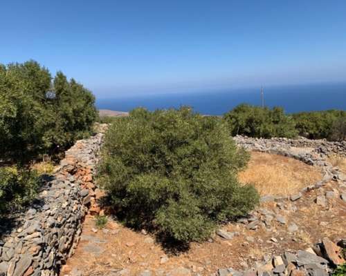 φωτογραφία ακινήτου