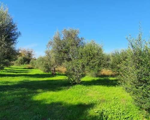 εικόνα ακινήτου