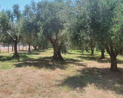 φωτογραφία ακινήτου