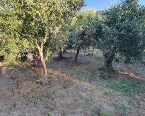 φωτογραφία ακινήτου