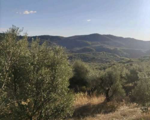 φωτογραφία ακινήτου