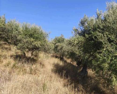 φωτογραφία ακινήτου