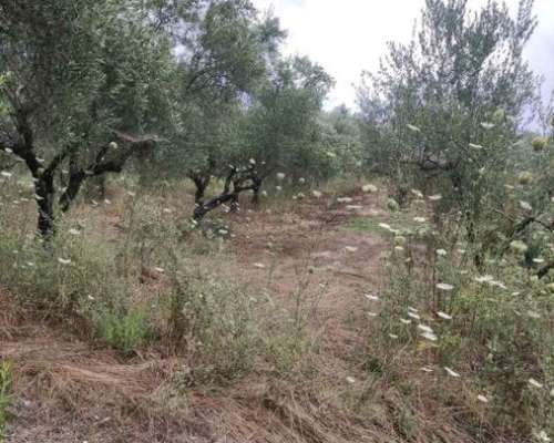 φωτογραφία ακινήτου