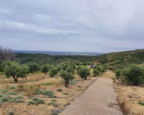 εικόνα ακινήτου