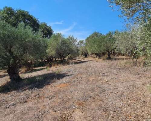 φωτογραφία ακινήτου
