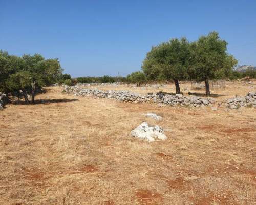 εικόνα ακινήτου