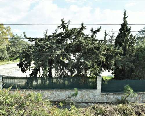 φωτογραφία ακινήτου