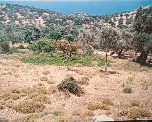 φωτογραφία ακινήτου