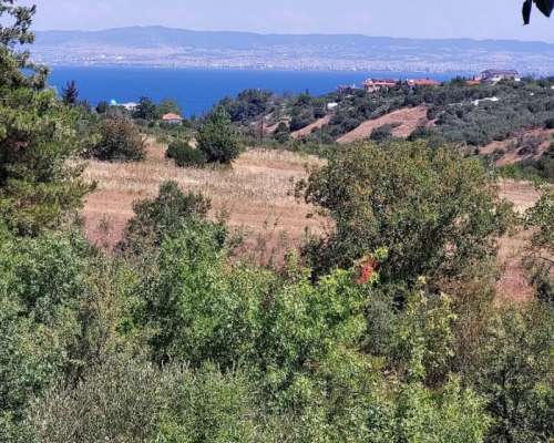 φωτογραφία ακινήτου